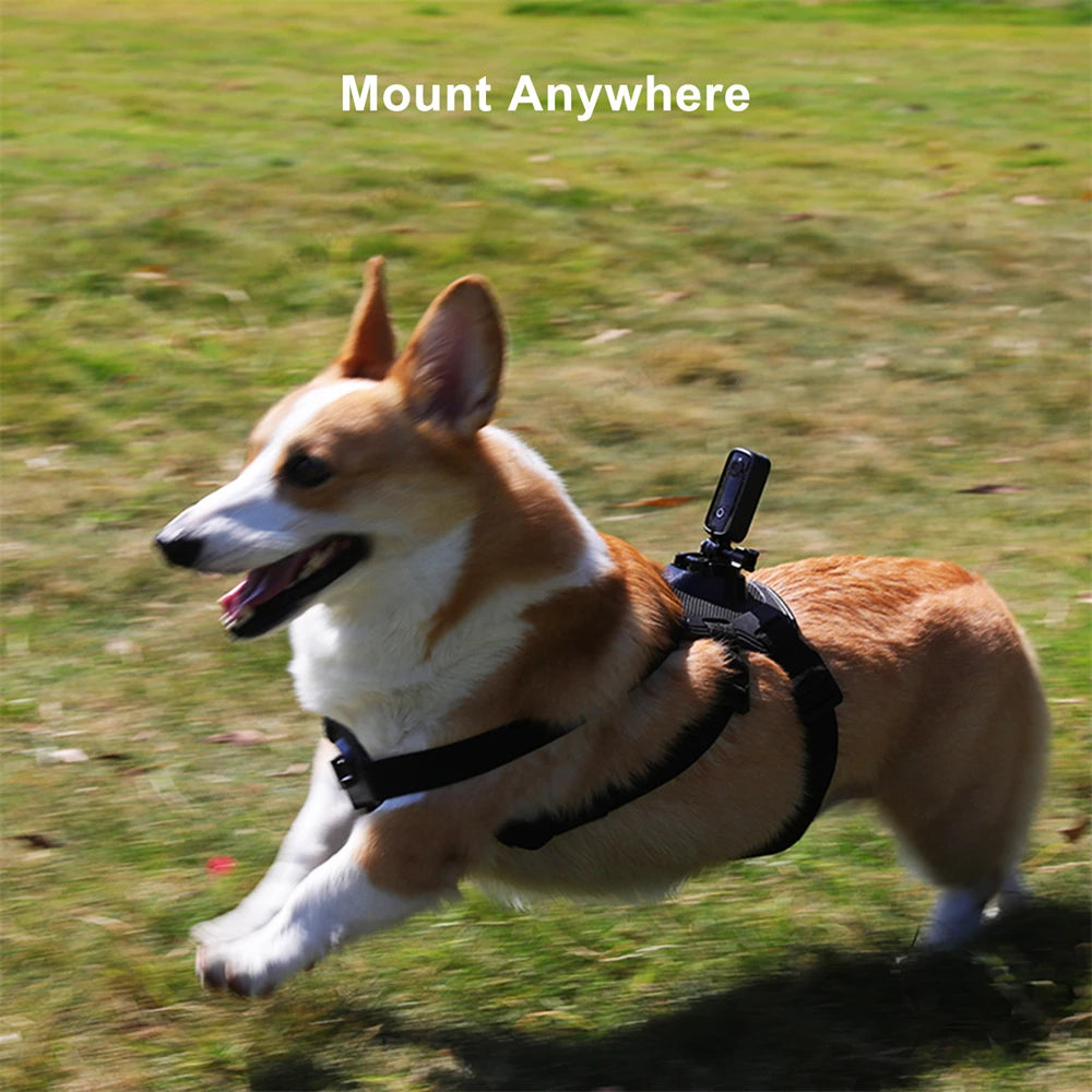 SJCAM C100 Plus 4K Action Camera Waterproof WiFi Sport Cam