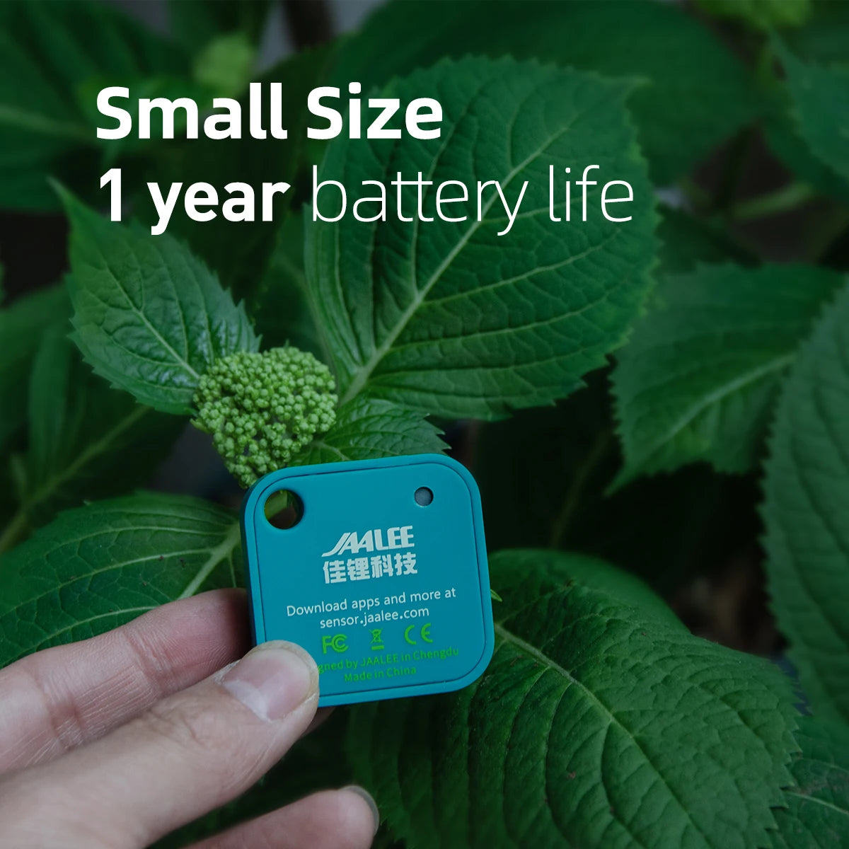 Jaalee JHT Smart Temp & Humidity Sensor – Dewpoint & VPD Logger