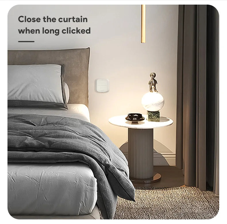 Tuya 2-Gang WiFi/ZigBee Scene Switch – Smart Wall Controller for Smart Life App